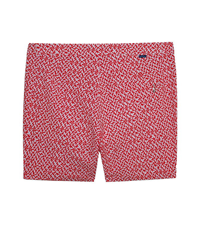Saline Sport Symétrie Red - Barthelemy